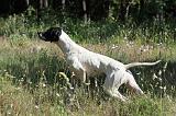POINTER 144